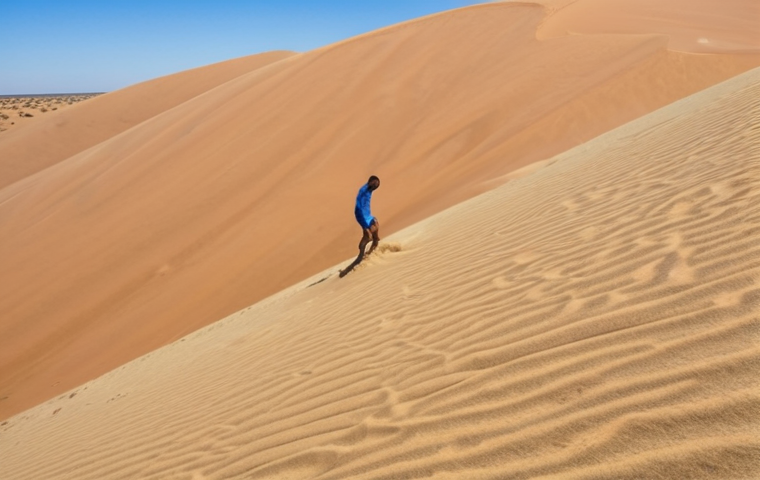 **Sand Surfing Experience**: Create an image of a person standing on top of a large sand dune in Botswana, looking down with excitement. The scene should capture the vast desert landscape with a blue sky, highlighting the thrill of sand surfing.
